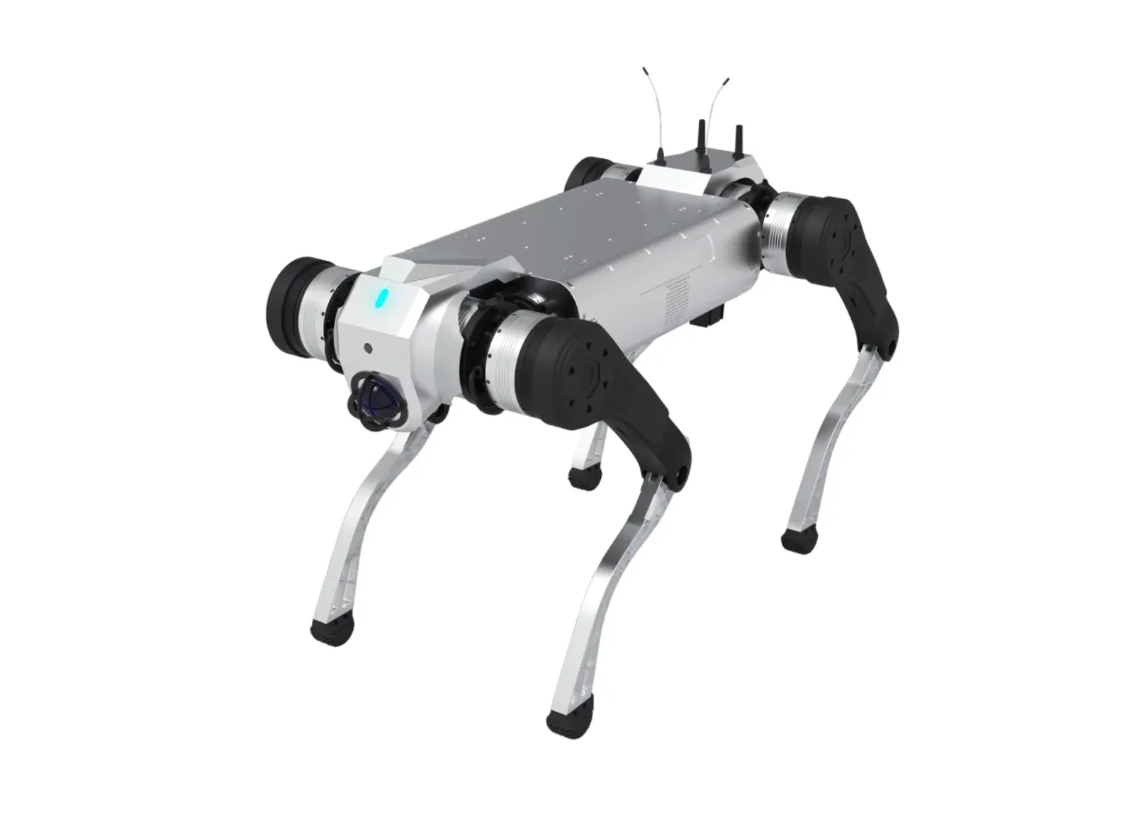 Četvoronožni robot AGIBOT D1 MaxPro na jednobojnoj beloj pozadini, pogled iz tri četvrtine.